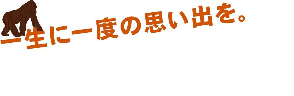 一生に一度の思い出を