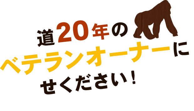 この道20年のベ