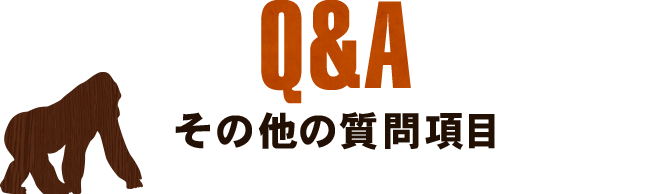 その他の質問項目