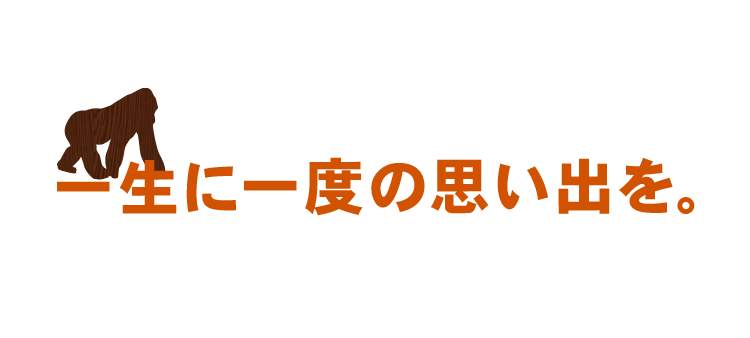 一生に一度の思い出を