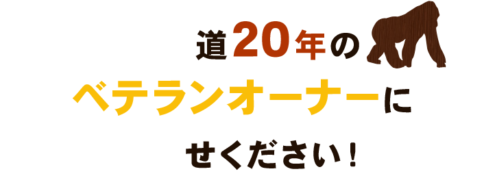 この道20年のベ