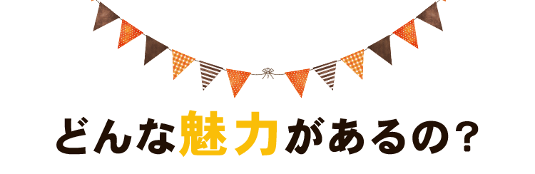 どんな魅力があるの？